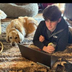 Sebastian profile picture