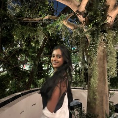 Merlin profile picture